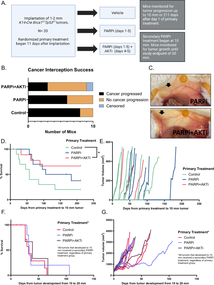 Fig. 1: Interception study design and results.