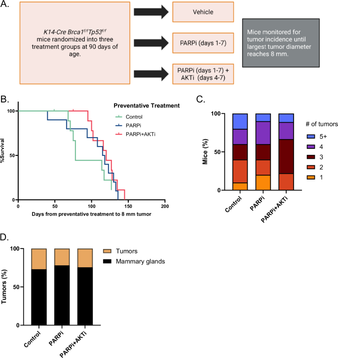 Fig. 2: Prevention study design and results.