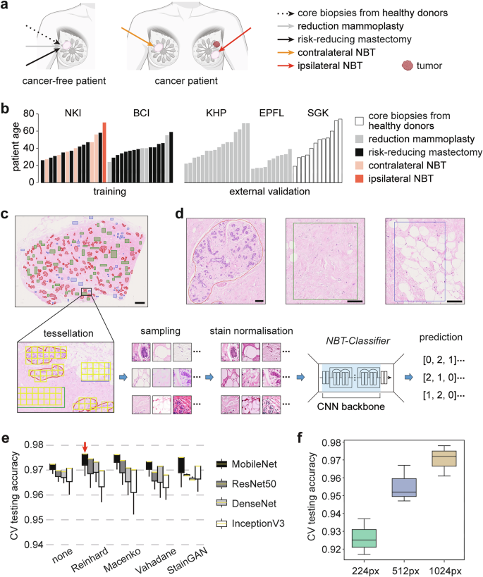 Fig. 1: Dataset overview and optimisation of NBT-Classifiers.