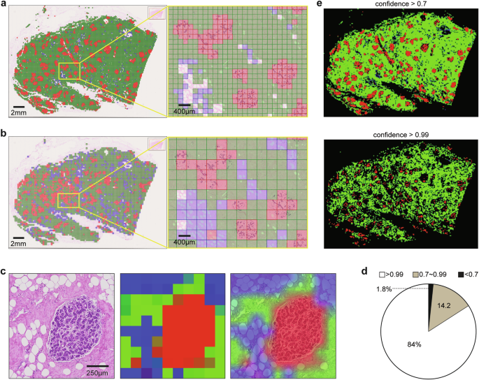 Fig. 4: Visualisation of whole slide tissue classification.