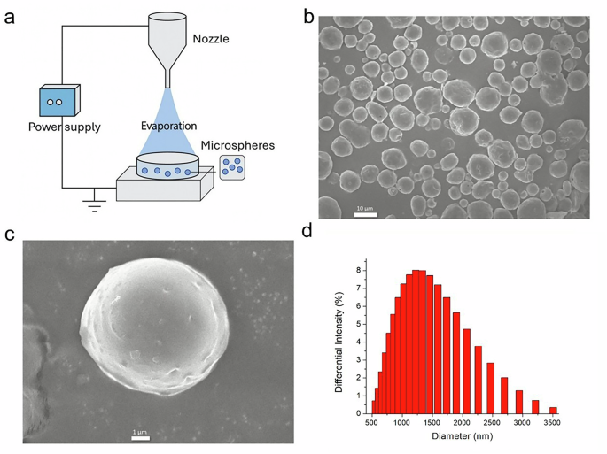 Fig. 1: Fabrication and morphological characterization of PTX-loaded electrosprayed microspheres.
