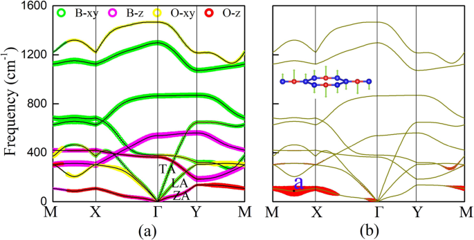 Theoretical Dissection Of Superconductivity In Two Dimensional Honeycomb Borophene Oxide B 2 O Crystal With A High Stability Npj Computational Materials