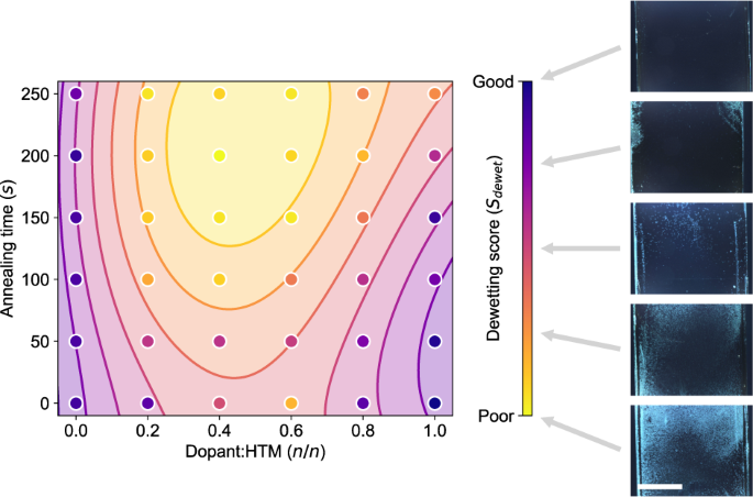 Fig. 3: Use of DeepThin to resolve trends in morphology caused by variations in composition and processing of organic thin films.