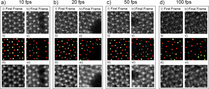 Fig. 3: Decoding capabilities of various temporal resolutions.
