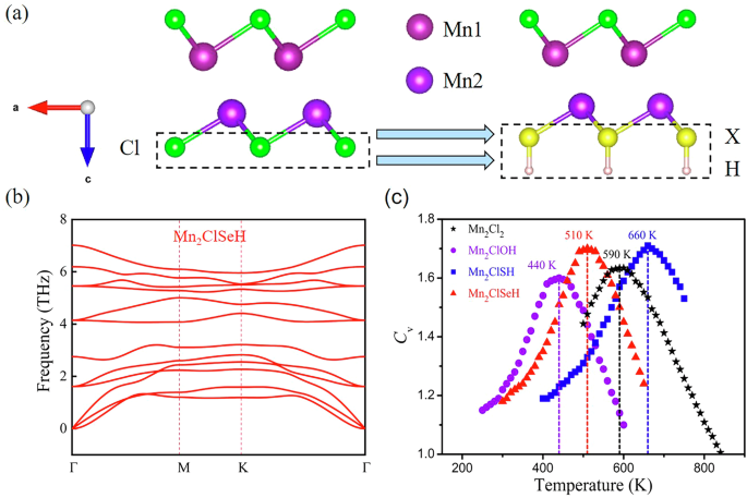 Fig. 1: Schematic structure and stability.