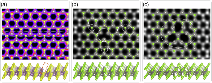 Fig. 6: Comparison between STEM images and DefiNet-relaxed structures.