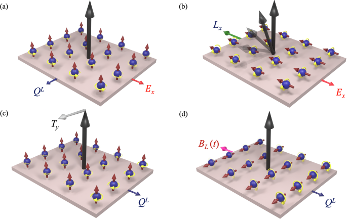 Fig. 1: Orbital torque and orbital pumping in 2D Janus dichalcogenides.