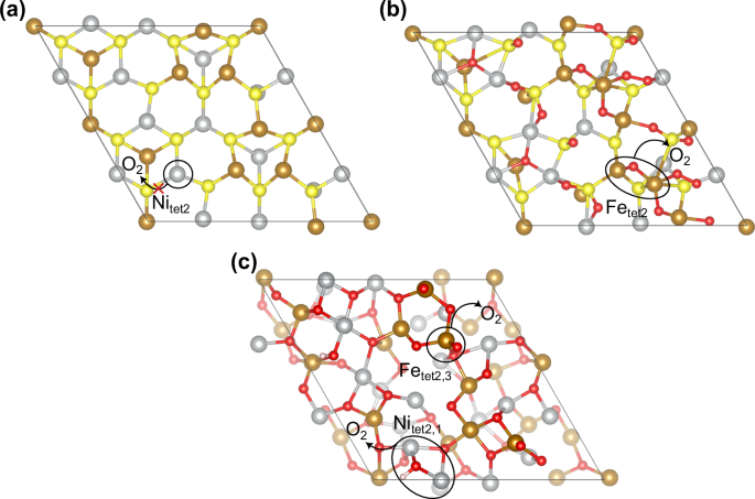 Fig. 3: Visualization of the OER on the three generations of surface models.