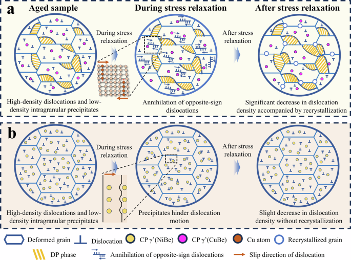Fig. 12: Microstructural evolution during stress relaxation in cold-rolled samples.