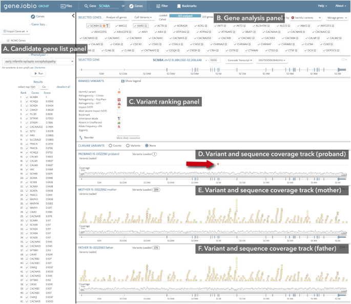 Whole Genome Analysis For Effective Clinical Diagnosis And Gene Discovery In Early Infantile Epileptic Encephalopathy Npj Genomic Medicine Whole Genome Analysis For Effective Clinical Diagnosis And Gene Discovery In Early Infantile Epileptic Encephalopathy Npj Genomic Medicine
