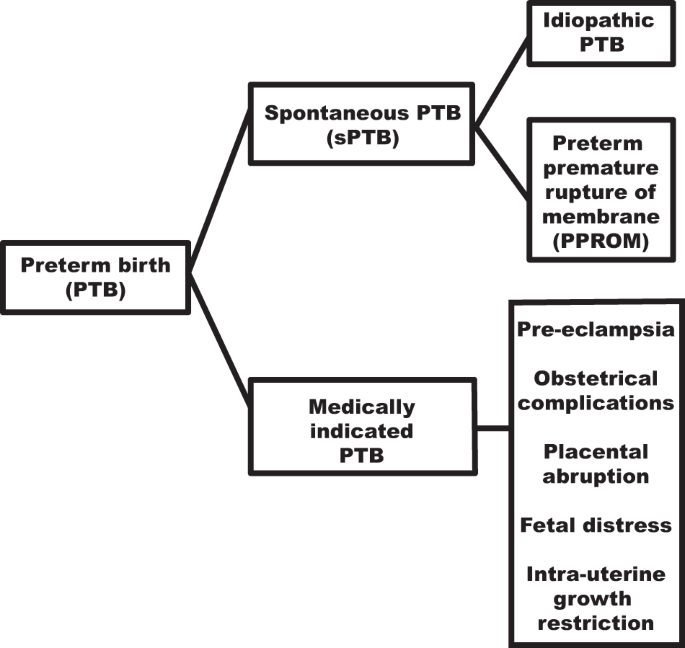Fig. 1: Schematic representation of the categories of preterm birth.