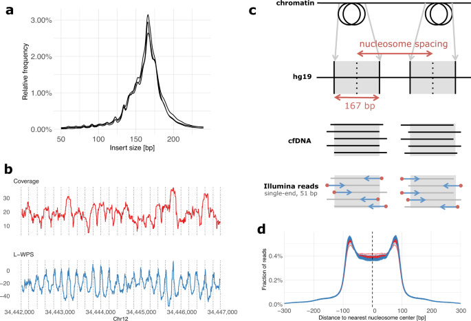 Fig. 1: Nucleosome footprint in paired-end and single-end cfDNA sequencing data.