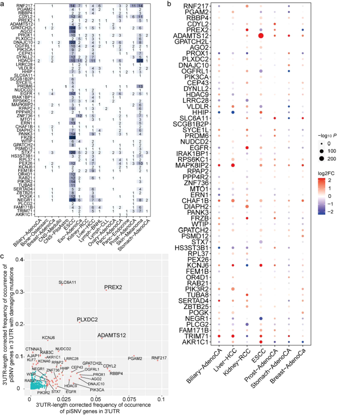 Fig. 5: Top 3′-UTR piSNV-affected genes in PCAWG and ESCC cohorts.