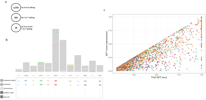 Fig. 6: The improvement algorithm in combination with the SIFT prediction tool.