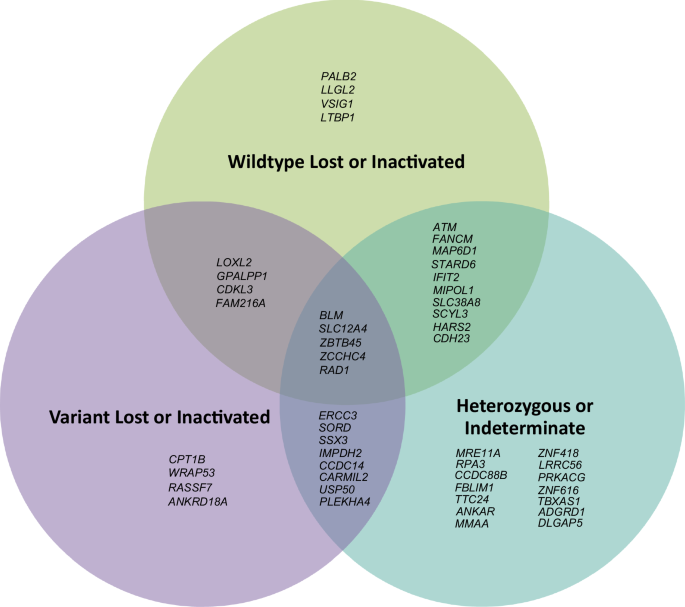 Assessment of candidate high-grade serous ovarian carcinoma predisposition genes through integrated germline and tumour sequencing