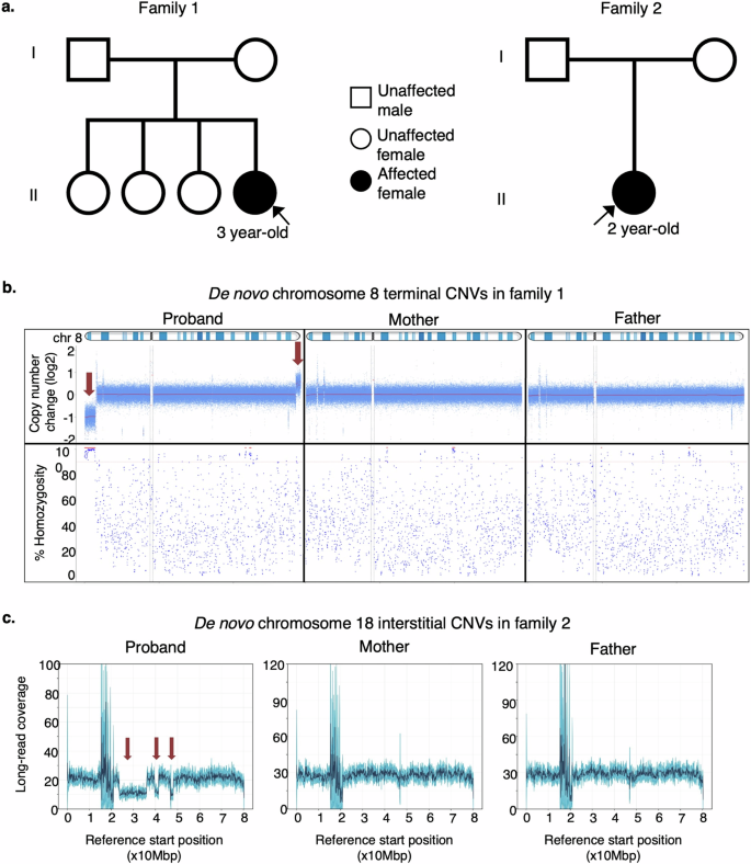 Fig. 1: Overview of the patients and their genomic alterations.