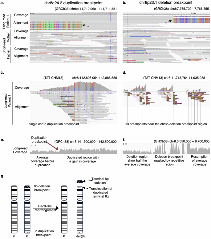 Fig. 2: PacBio circular consensus sequencing resolved a Rec8-like rearrangement in patient 1.