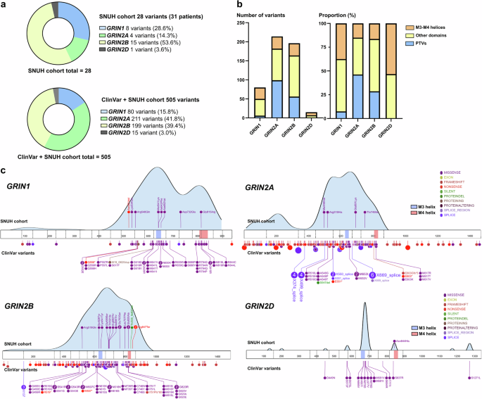 Fig. 3: Information on pathogenic GRIN variants identified in the ClinVar database and the SNUH cohort.