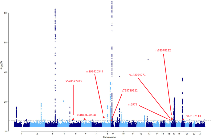 Fig. 1: Manhattan plot showing the associations with HGSOC from the meta-analysis of OCAC, UKBB and CIMBA summary association data.