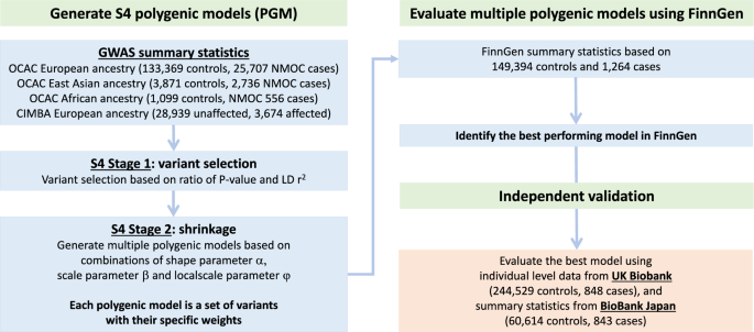 Fig. 4: Schema describing the development of polygenic models, determining the optimal model, and validating the resultant polygenic score in European ancestry women from UKBB and East Asian ancestry women from BBJ.