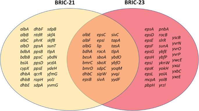 Comparison Of Bacillus Subtilis Transcriptome Profiles From Two