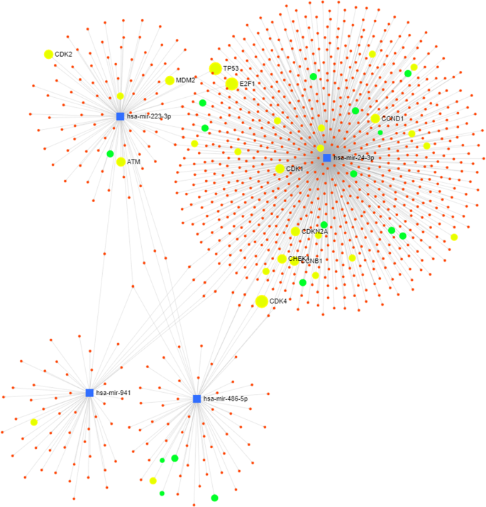 Fig. 7: Target network analysis.
