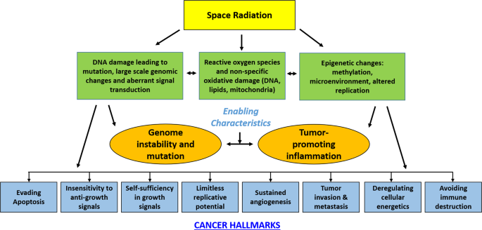 The hallmarks and emerging hallmarks of cancer.