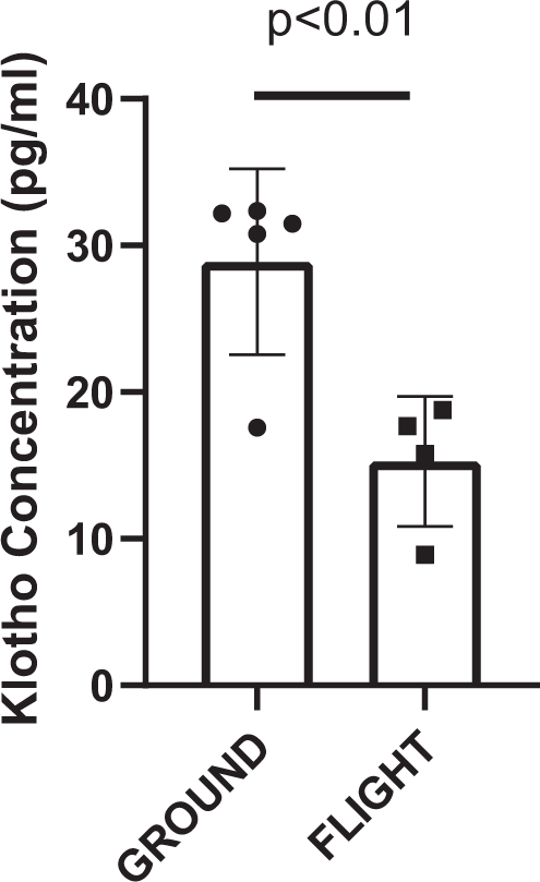 Fig. 1: αKlotho concentration is reduced after spaceflight.