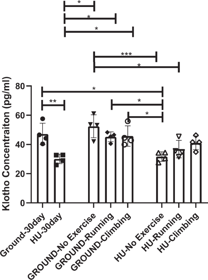 Fig. 2: αKlotho concentration is reduced after hind limb unloading, but can recover with subsequent exercise.