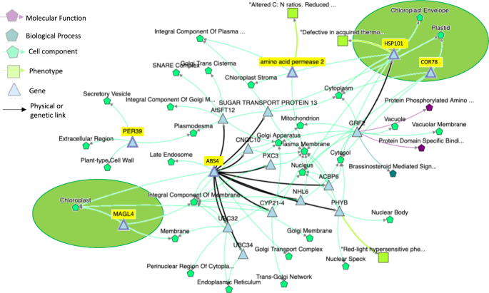Fig. 8: Network analysis of the 6 common spaceflight responsive genes identified from analysis of Arabidopsis seedlings flown in the BRIC hardware.