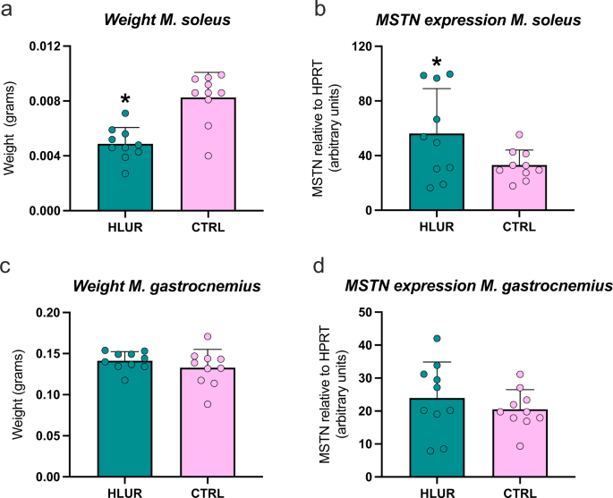 Fig. 1: Weight and myostatin (MSTN) gene expression levels after hindlimb unloading and radiation.
