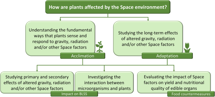 research paper on plant biology figure 1