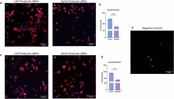 Fig. 3: Bioactivity of in-space manufactured JBNm.