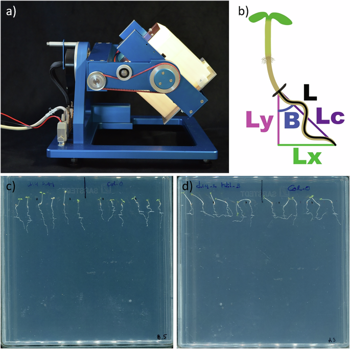 Fig. 1: Use of RPM mini-phytotron to analyse root growth parameters under various light scenarios.