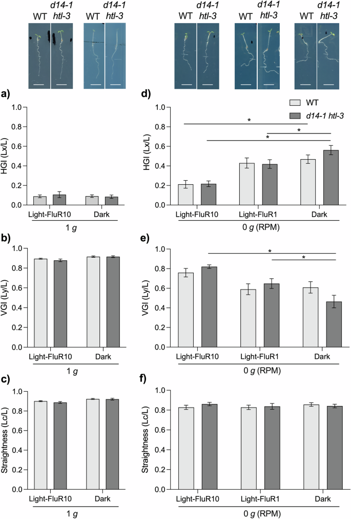 Fig. 2: Arabidopsis growth within the mini-phytotron.