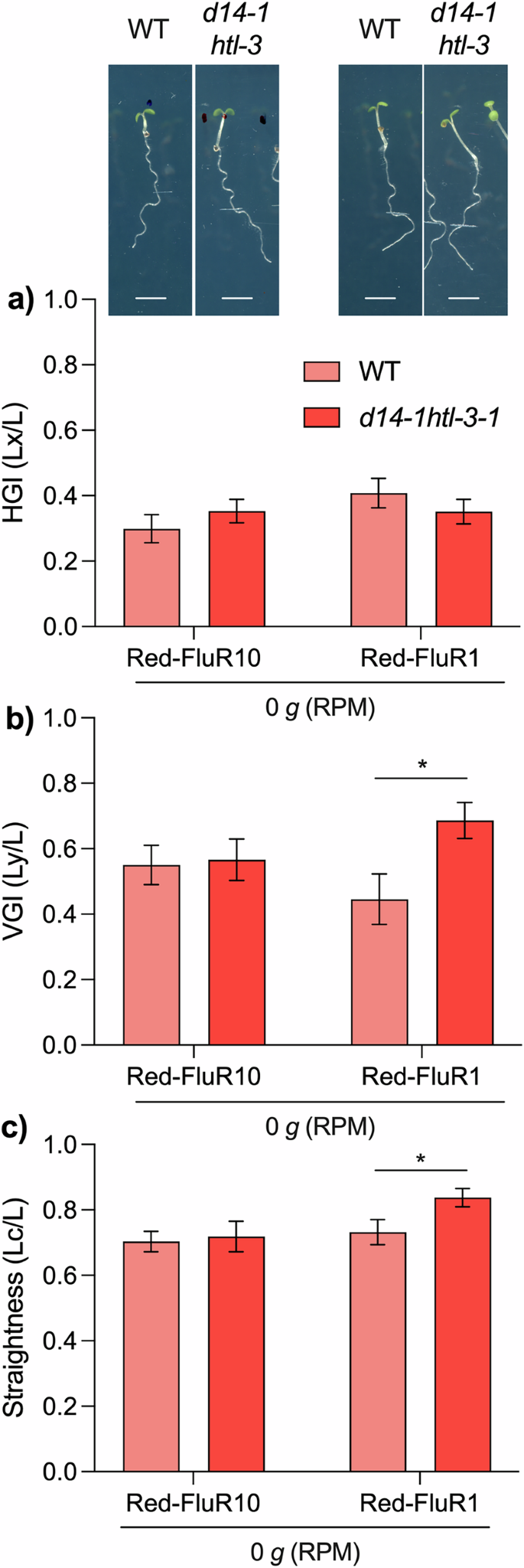 Fig. 3: Arabidopsis growth in red-filtered light.