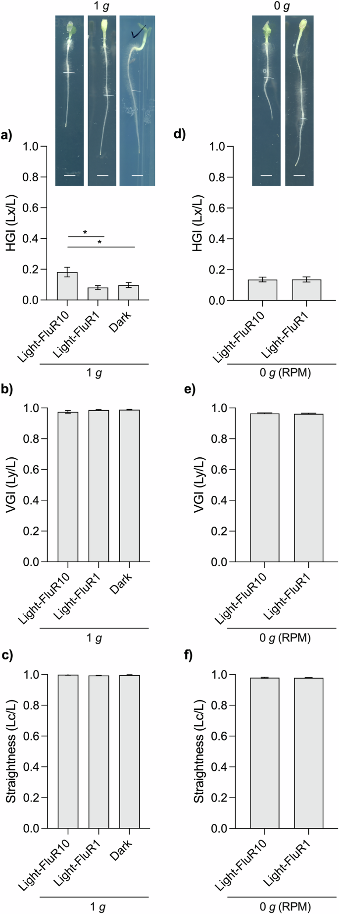 Fig. 4: Lettuce growth in the mini-phytotron.