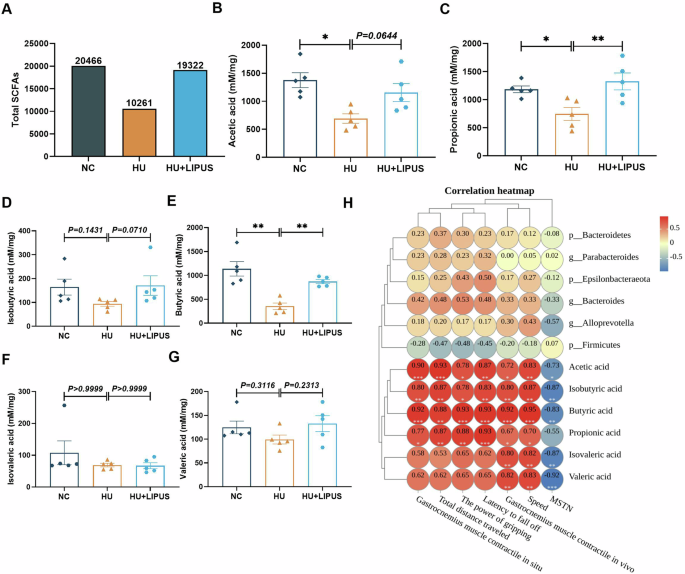 Fig. 6: The effect of abdominal LIPUS treatment on SCFAs in hindlimb unloaded mice.