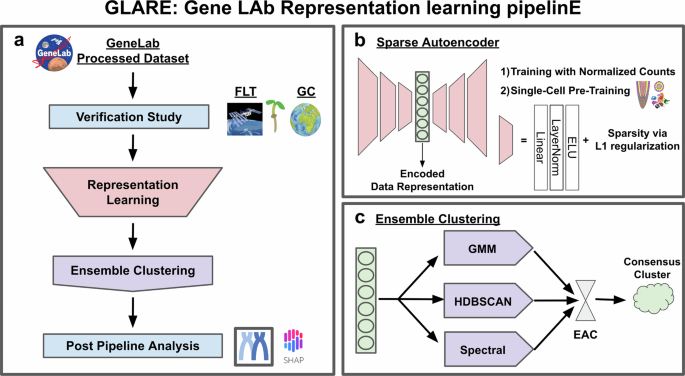 Fig. 1: Overall pipeline of GLARE: Gene LAb Representation learning pipelinE.