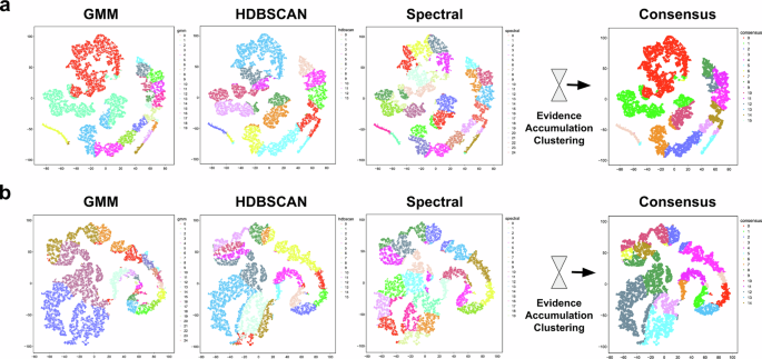 Fig. 4: Ensemble clustering via EAC.