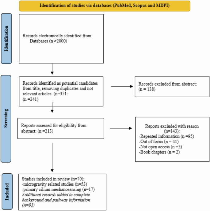 Fig. 5: Studies identification via databases.
