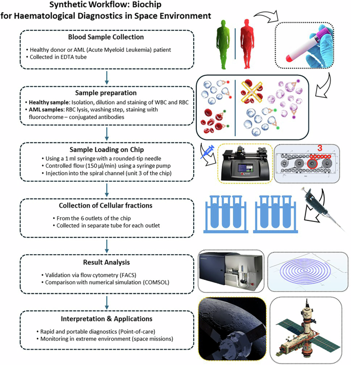 Fig. 1: Schematic representation of the proposed biochip procedure for hematological diagnostics in a space environment, illustrating the main steps of sample processing and analysis.