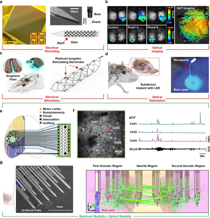 Materials Chemistry of Neural Interface Technologies and Recent