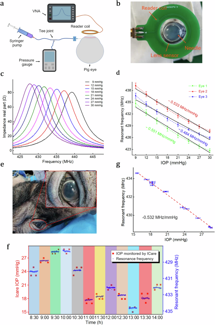 Fig. 5: Performance evaluations of contact lens sensor on porcine eyes, both ex vivo and in vivo.