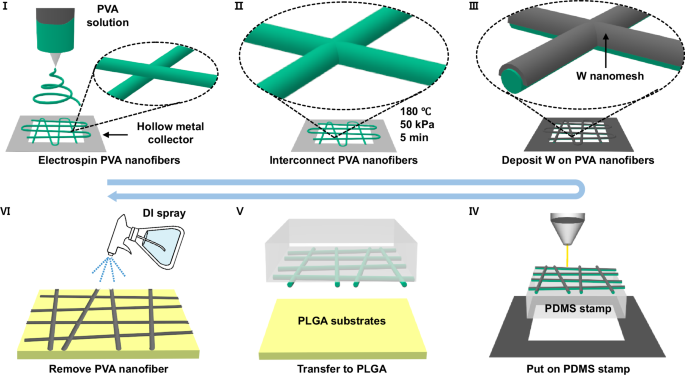 Fig. 2: Fabrication process of biodegradable TCE using W nanofiber on PLGA substrate.