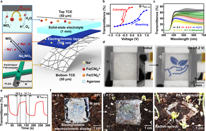 Fig. 4: Structure, optical properties, and degradation of the BECD with 45 s-electrospun W/PLGA (~75%T and ~ 890 Ω sq–1).