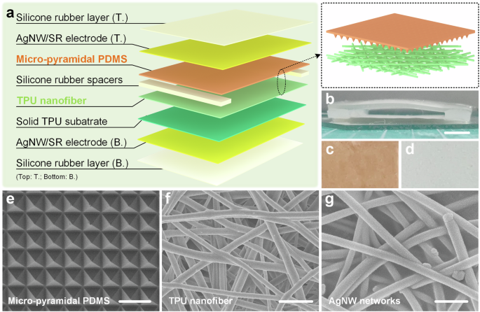 Stretchable nanogenerator with micro-nano hierarchical interfaces for self-powered biometric authentication Stretchable nanogenerator with micro-nano hierarchical interfaces for self-powered biometric authentication