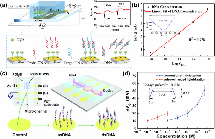 Fig. 12: Transistor-based DNA sensors.