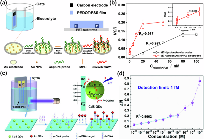 Fig. 13: OECT-based RNA sensors.