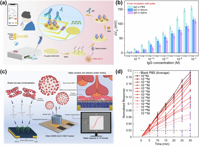 Fig. 15: OECT-based sensors for SARS-CoV-2 detection.